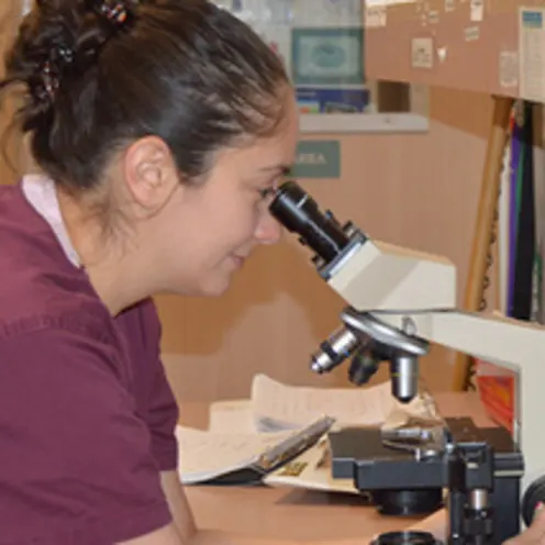 microscope and technician at Bay Glen Animal Hospital